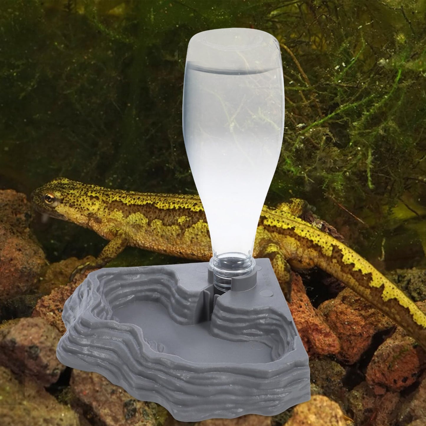 Scicalife Reptile Water Feeder - Automatic Water Dispenser Waterer Feeding Accessories for Turtle Frog Bearded Dragons Lizards Geckos for Terrarium Tank (Grey)
