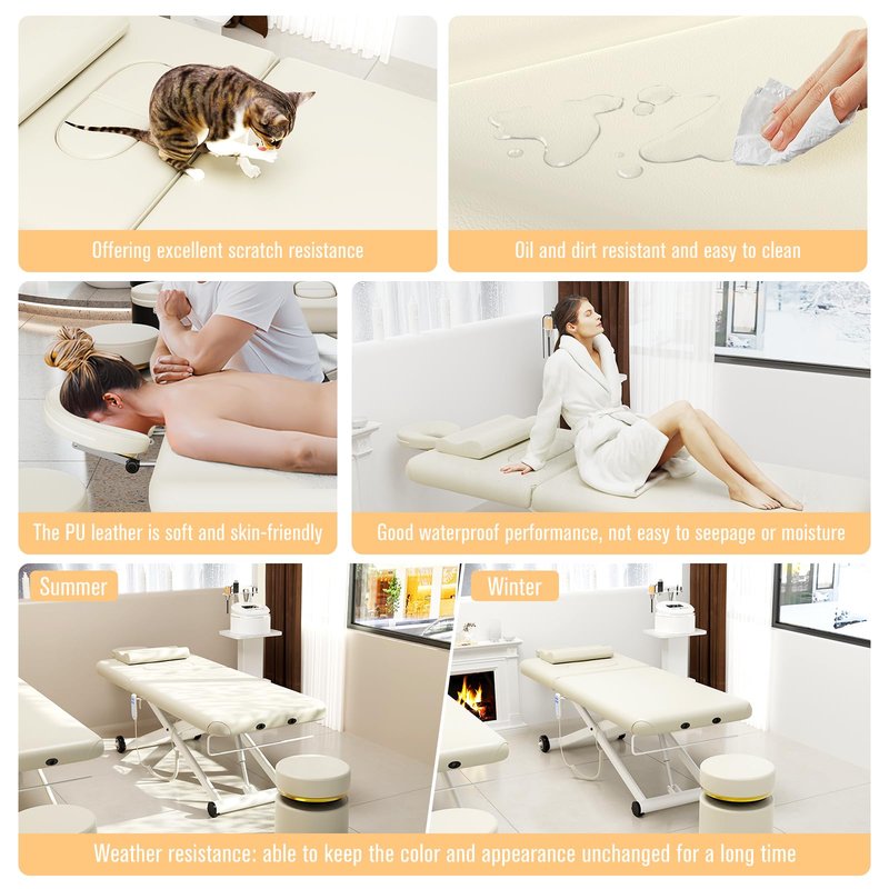 Dolonm Electric Massage Table, Heavy Duty Electric Lift and Electric Backrest 2 Motor Adjustable for Treatment/Medical Spa/Facial Bed/Beauty Bed/Massage Beds and More - 31.2 Wide x 75 Long, White