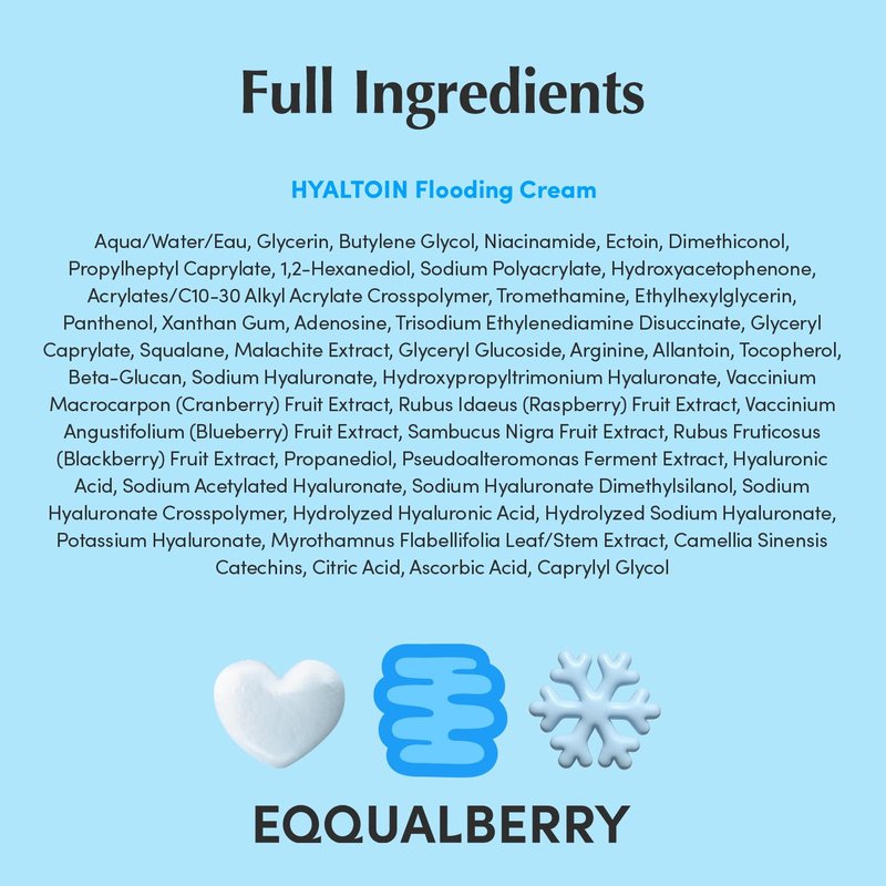 EQQUALBERRY HYALTOIN Flooding Cream - 5% Hyaluronic Acid & Ectoin, 10% Glacier Water | Cooling Gel Moisturizer for Hydration & Redness Relief | Korean Skincare (1.69 fl. oz / 50ml)