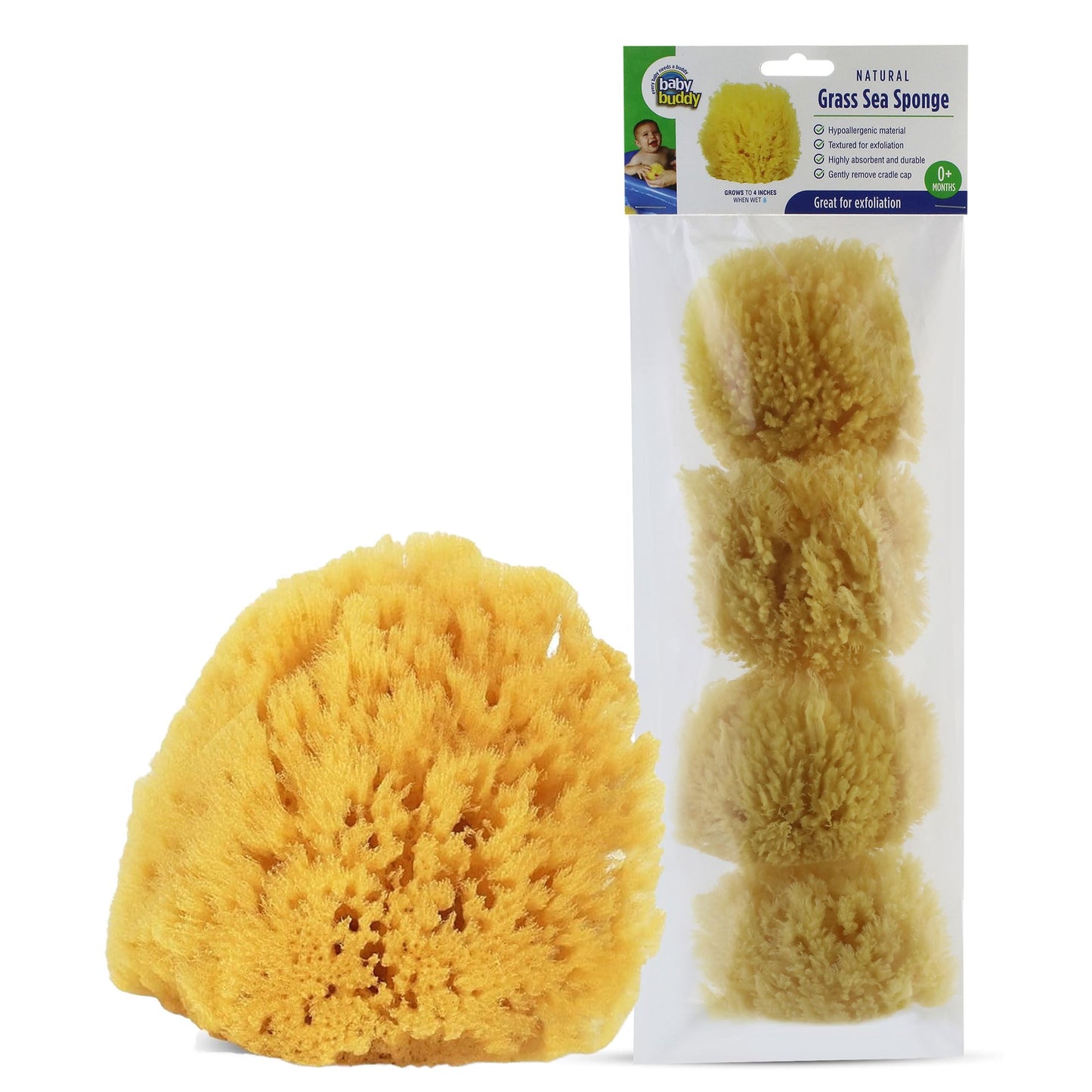 Baby Buddy Natural Grass Sea Sponge, Newborn Bath Time Essential, Textured for Exfoliation, Hypoallergenic, 4 Count