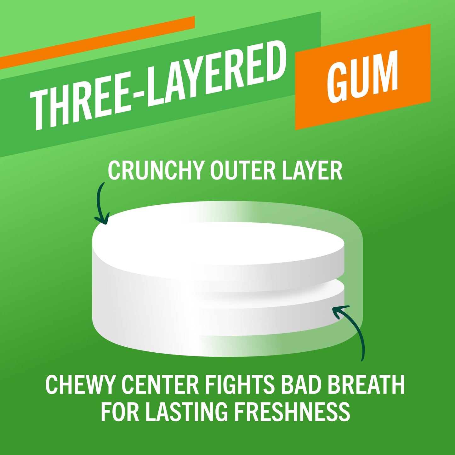 TheraBreath Fresh Breath Chewing Gum with ZINC, Citrus Mint Flavor, 10 Count (Pack of 6)