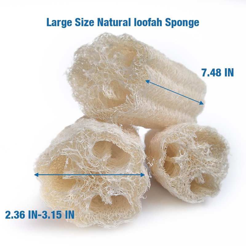 Large Size Natural Loofah Sponge, 3-Pack Loofah Sponges, Natural Body Scrubber for Men and Women, Non Toxic Loofa for Dishwashing