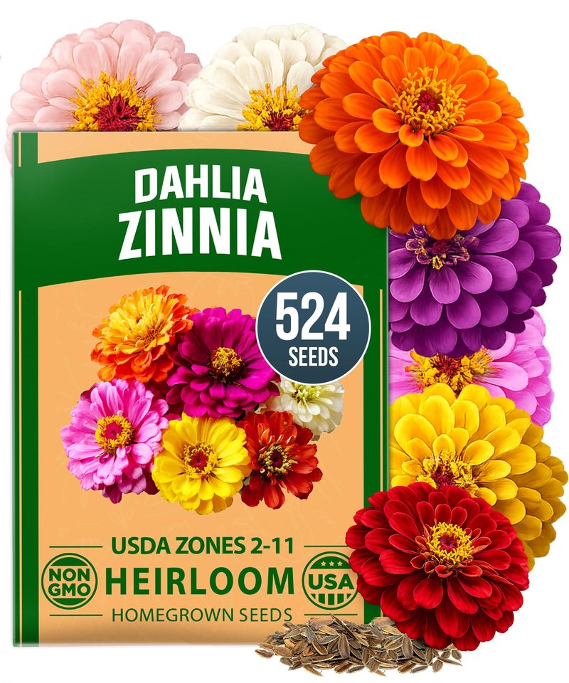 HOME GROWN Zinnia Dahlia Seeds Pack for 2026 Non GMO 524 Flower Seeds | Vibrant Zinnia Elegans for Pollinator Gardens, Borders & Containers | Easy-to-Grow Outdoor Blooms