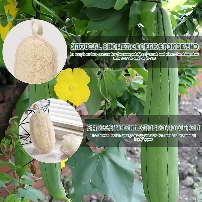2 Pack Natural Loofah Exfoliating Body Scrubber, 2 en 1 Bath Shower Pouf Sponge for Women and Men, for Face and Body That Gets You Clean