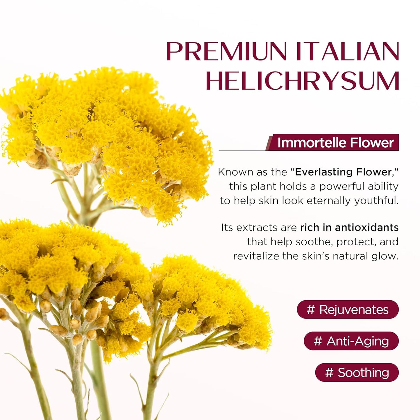Vigority Helichrysum Balm Soothes & Repairs: Restorative Arnica Cream with Calendula for Bruised, Fragile & Thin Skin – Moisturizes, Revitalizes & Strengthens Skin Barrier for Adult Seniors - 3.4 oz
