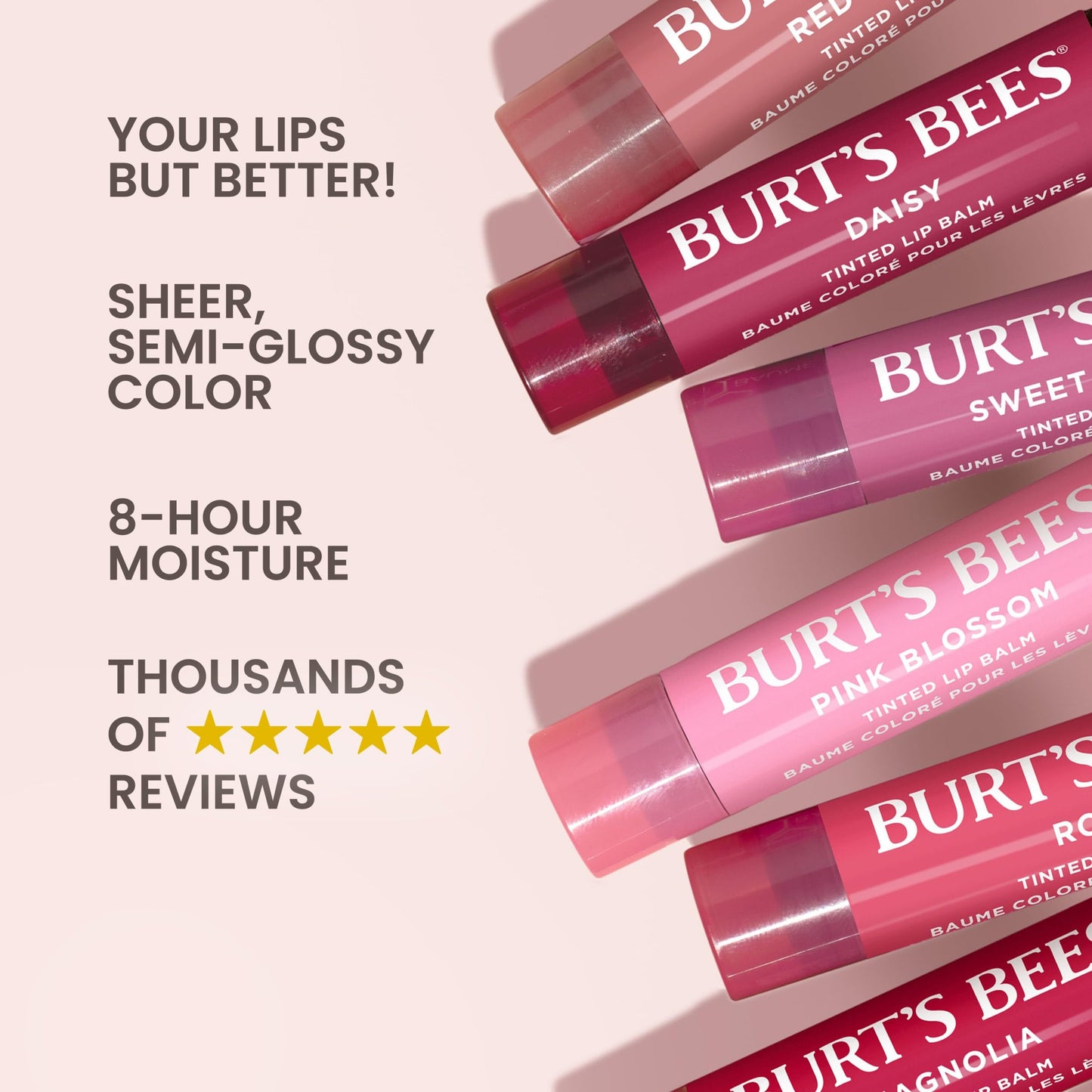 Burt's Bees Lip Tint Balm, Mothers Day Gifts, with Long Lasting 2 in 1 Duo Tinted Balm Formula, Color Infused with Deeply Hydrating Shea Butter for a Natural Buildable Finish, Pink Blossom (2-Pack)