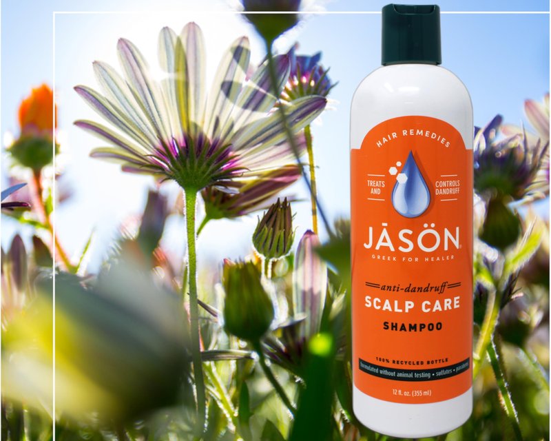 Jason Dandruff Relief Treatment Shampoo 12 oz (Pack of 2)