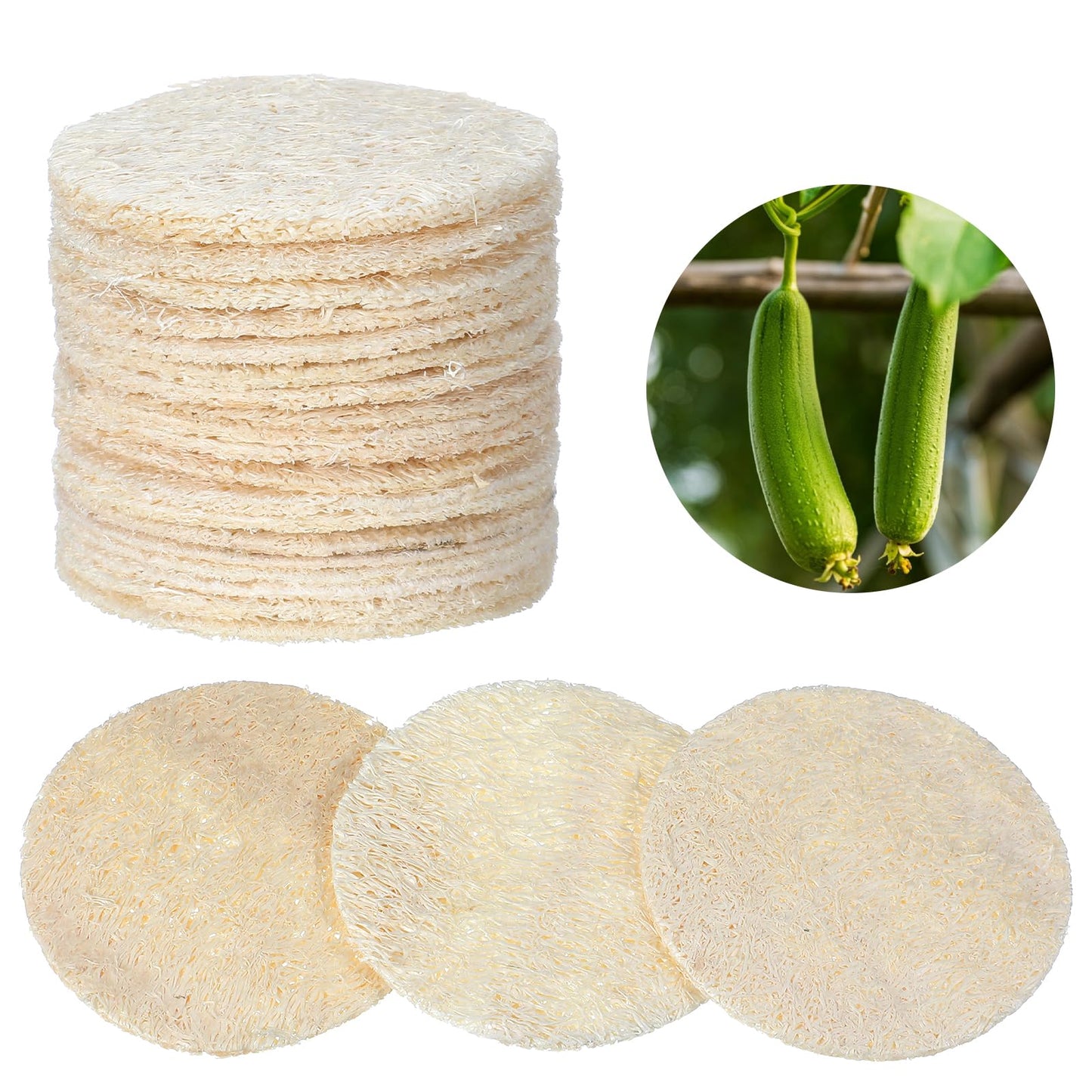 Nogeqi 30 Pcs Natural Loofah Sponge Pads, 2.36 Inch Exfoliating Body Facial Scrub Pads for Makeup & Dead Skin Masks Removal Washing Face, Exfoliator Scrub Brush for Men Women Bath Shower Spa