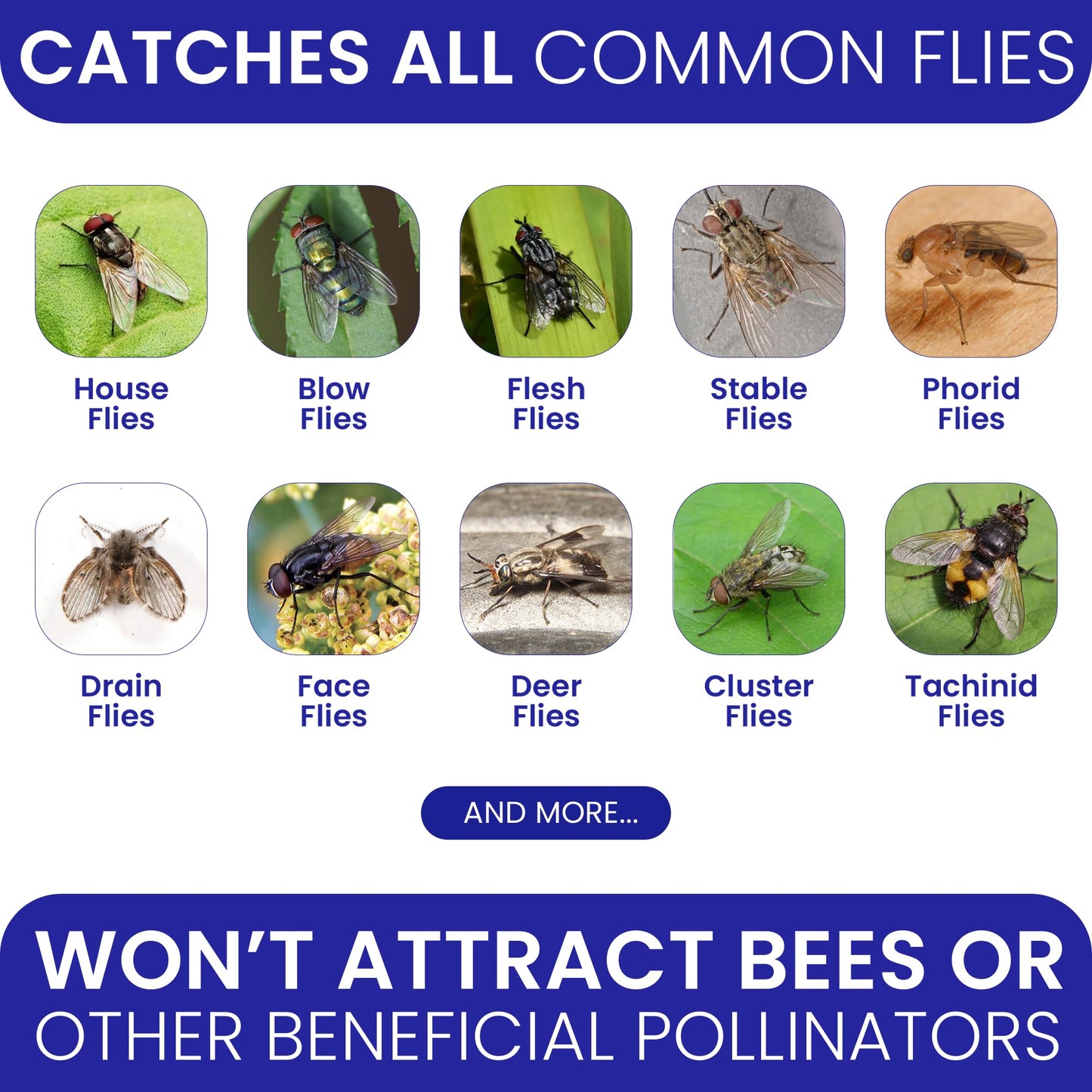 Fly Trap Outdoor Fly Traps for Patio with 2 Non-Toxic Dissolvable Bait Refills. Reusable Hanging Bug Catcher Killer for All Filth Flies for Outside Bug Control Yard Ranch. Hanging Chains Included.