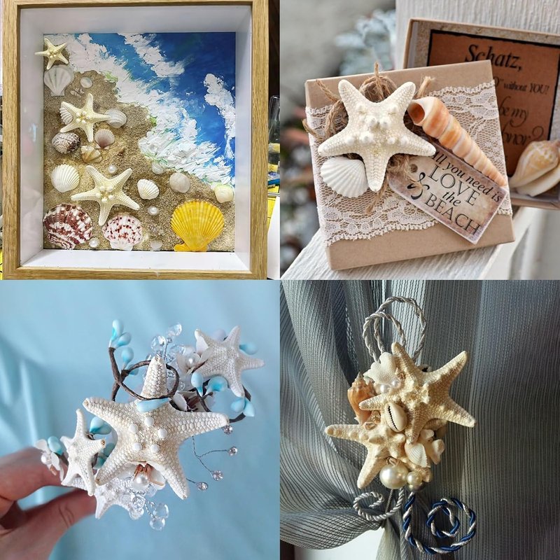Natural Starfish for Crafts - 20PCS Bulk Decor for Wedding & Beach Theme | 1" to 3" Size
