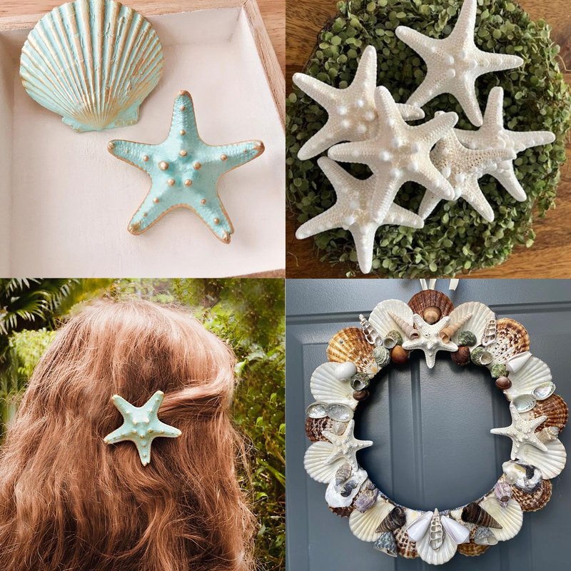 JQAQJU 16PCS Starfish and Scallop Shells for Crafts 3"-4" with Pearls, Natural Sea Shells for Crafting Beach Party Christmas Decor DIY