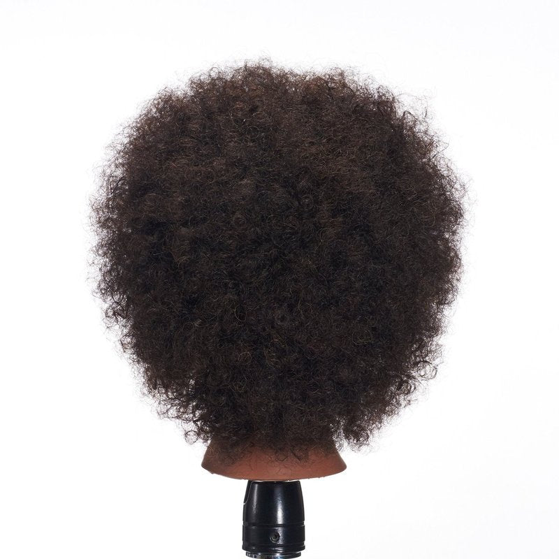 Skiennix Afro Mannequin Head - 100% Human Hair Training Doll for Cosmetology | Includes Clamp Stand