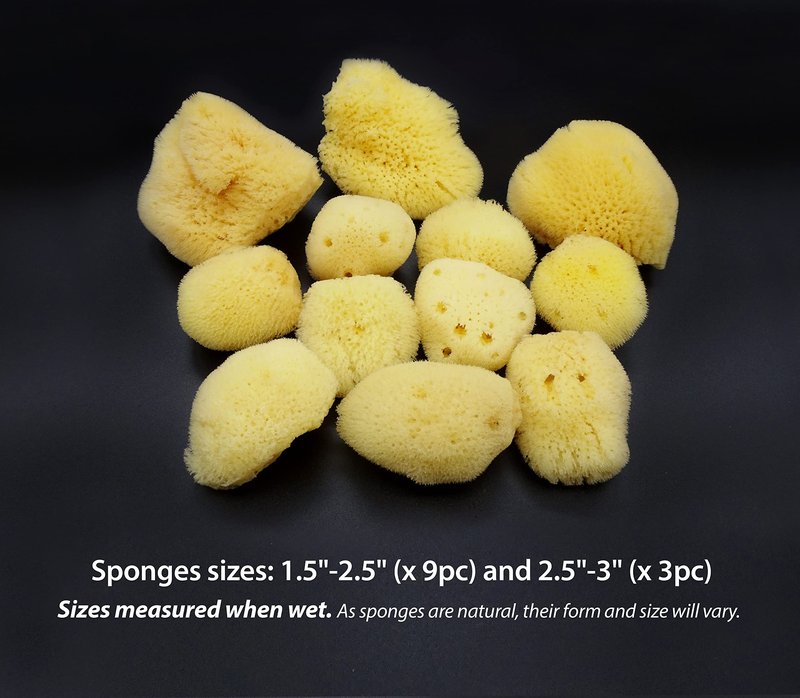 Constantia Beauty® Natural Sea Silk Sponges 12pack, use like Cotton Balls, Cosmetic Grade, Makeup Application Blending & Removal, Face & Eye Cleaning, Size 9pc x1.5"-2.5" 3pc x 2.5"-3" Reuseable Bag