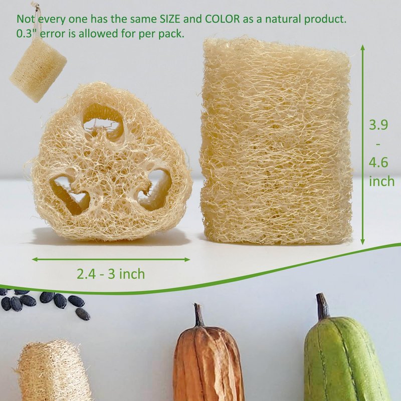FRTIM Natural Loofah Sponge, Organic Bath Loofah Pack, Lufas Exfoliating Body Scrubber, Loofas Sponges Shower Loofah for Women and Men, Skin SPA Ecotools- 6 Pack