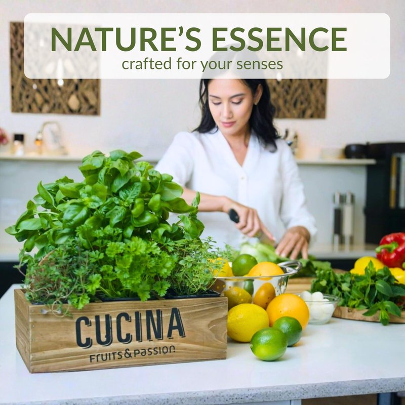Cucina Coriander and Olive Tree 33.8 oz Purifying Hand Wash Refill