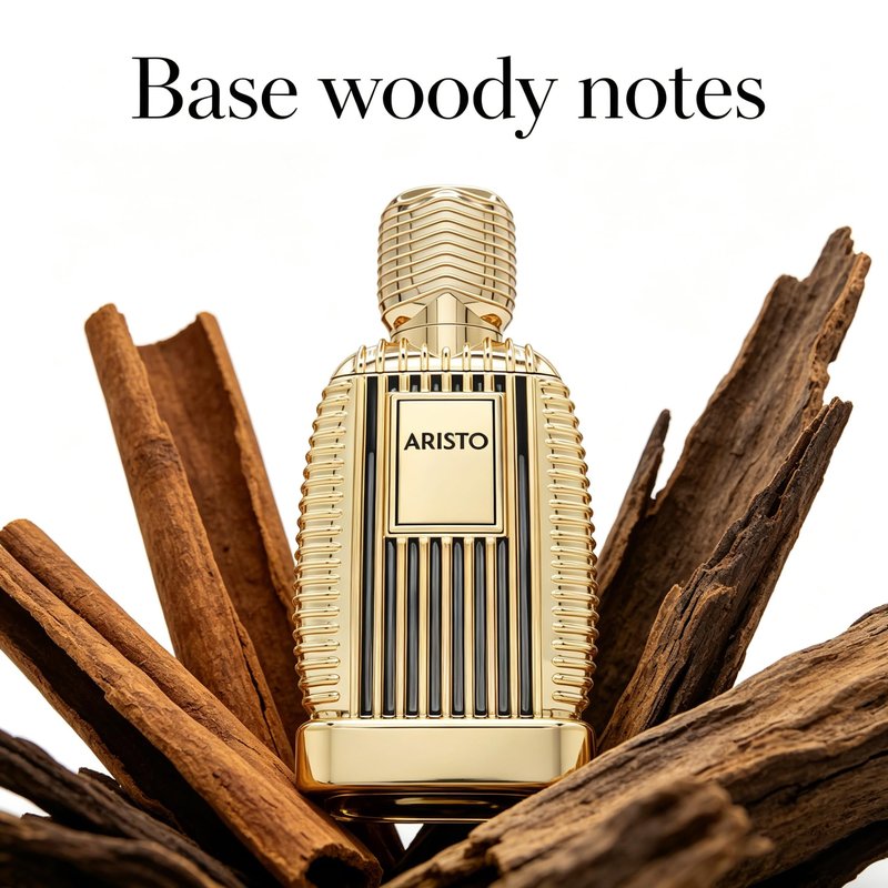 A CENTER Aristo 100ml Eau de Parfum for Women & Men | Unisex Woody Spicy Citrus Musk Scent | Long-Lasting Fragrance for Daily Wear