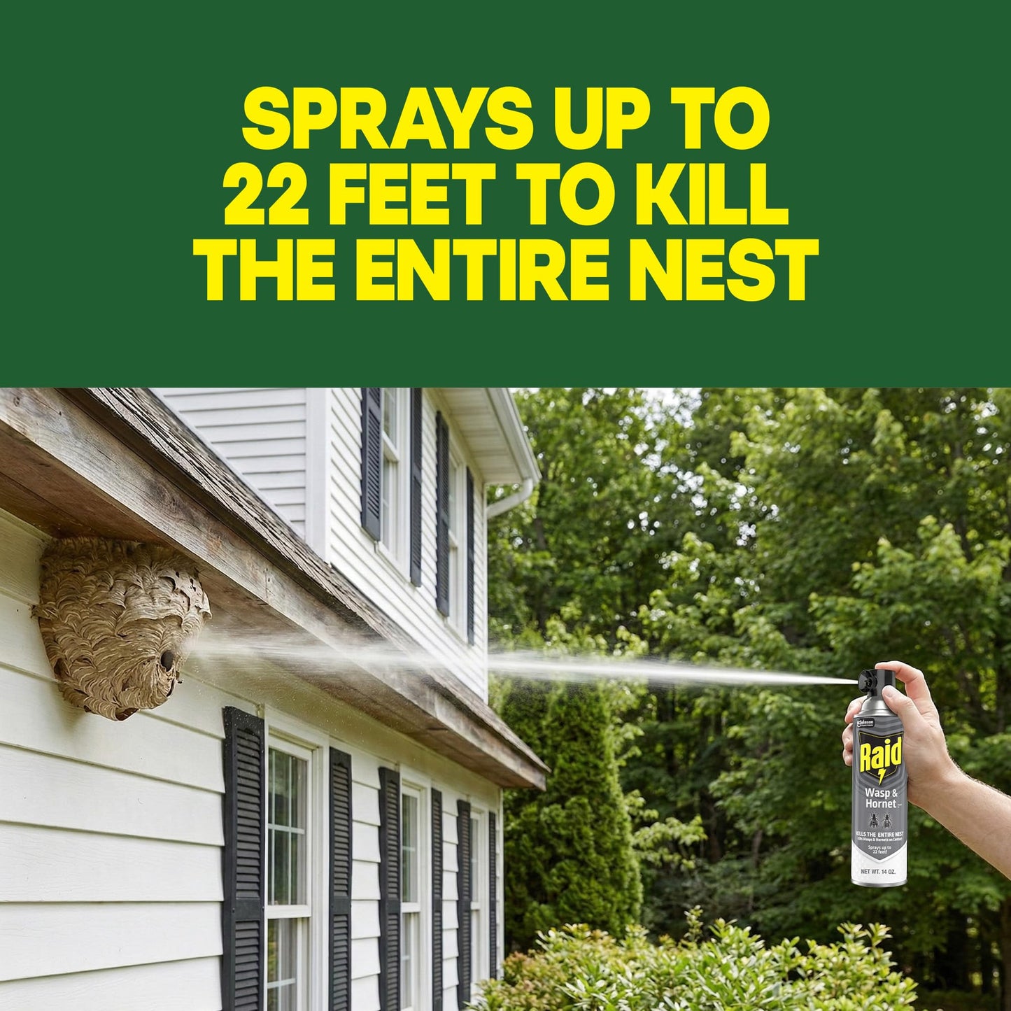 Raid Wasp & Hornet Killer Spray, Kills the Entire Nest, For Paper Wasps, Yellow Jackets, Mud Daubers and more, 14 oz (Pack of 2)