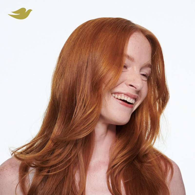 Dove Advanced Dry Shampoo - Fresh Coconut Formula for Clean, Revived Hair | 7.3 oz