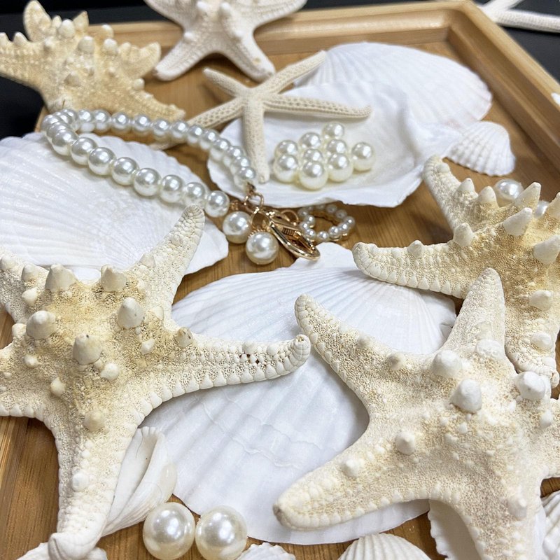 JQAQJU 16PCS Starfish and Scallop Shells for Crafts 3"-4" with Pearls, Natural Sea Shells for Crafting Beach Party Christmas Decor DIY