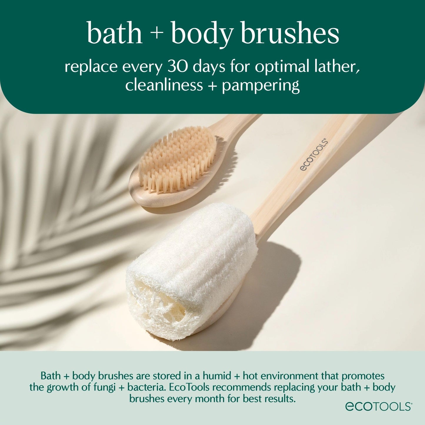 EcoTools 2 Pack Loofah Bath Brush, Back Brush for Bath & Shower, Made with Long Handle & Natural Loofah Material for Exfoliation, Shower Brush for Men & Women, Cruelty-Free