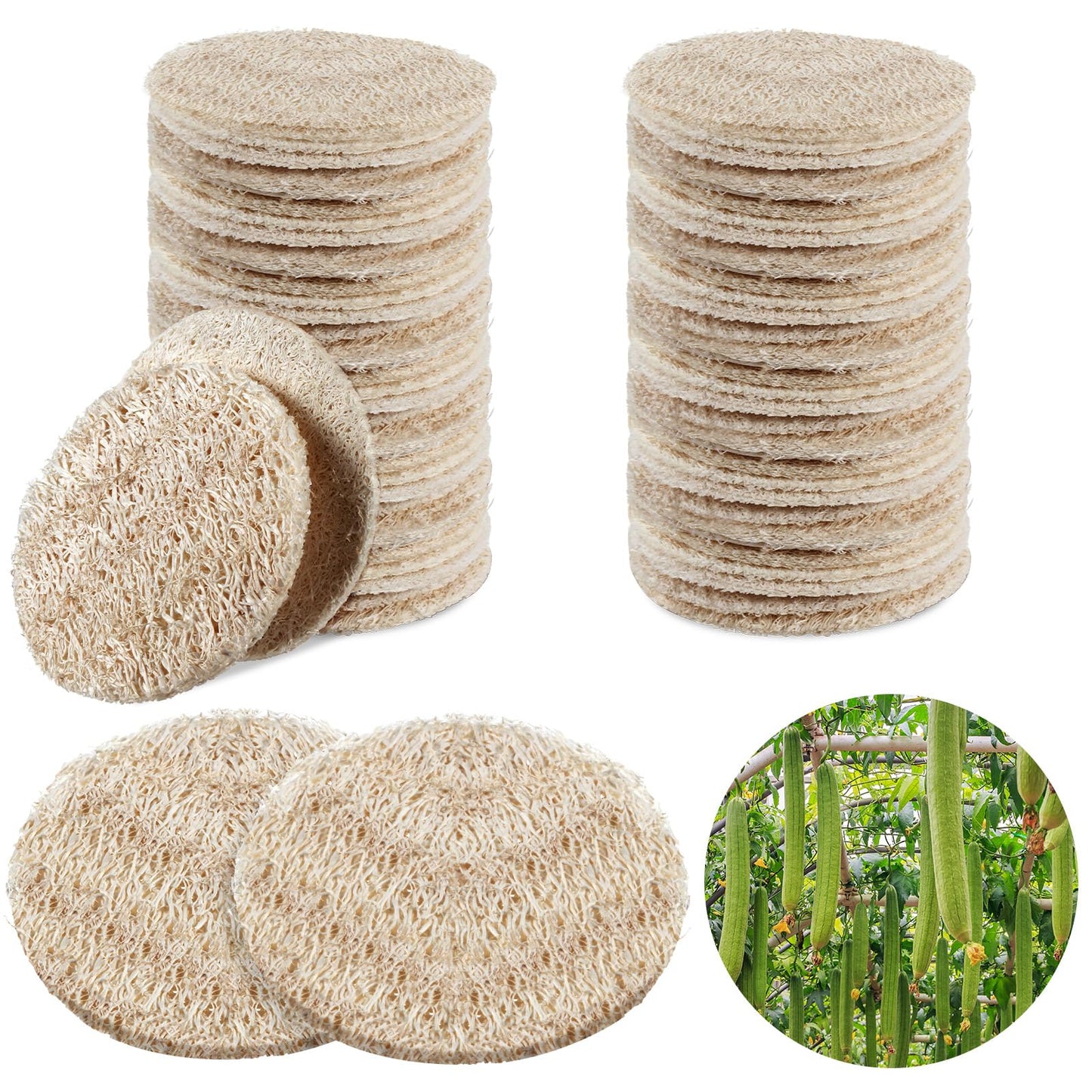 Bokon 50 Pcs Loofah Exfoliating Face Pads 2.36 Inches Round Natural Loofah Sponge Body Face Scrubber Remove Dead Skin Facial Pad Bulk for Bath Shower Spa Skin Cleaning Women Men (Beige)