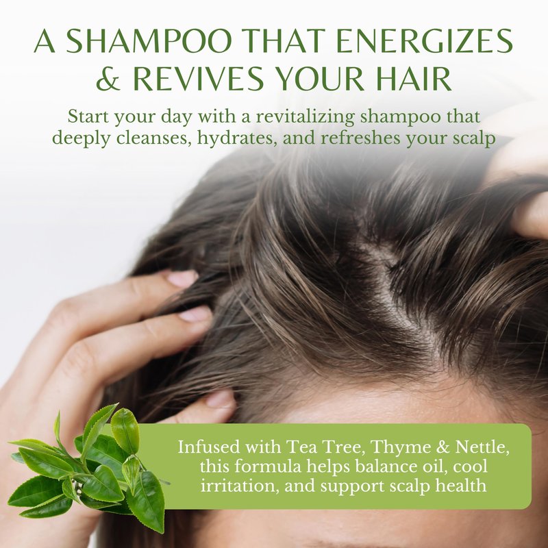 EDENIKA BOTANICALS Tea Tree Oil Shampoo, Deep Cleansing for Buildup & Oily Scalp, Soothes Itchy Scalp & Refreshes Hair, Sulfate Free, Women & Men, Natural Shampoo, 16 fl oz