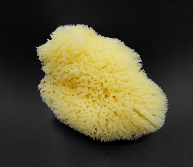 Constantia Beauty® Natural Sea Silk Sponges 12pack, use like Cotton Balls, Cosmetic Grade, Makeup Application Blending & Removal, Face & Eye Cleaning, Size 9pc x1.5"-2.5" 3pc x 2.5"-3" Reuseable Bag