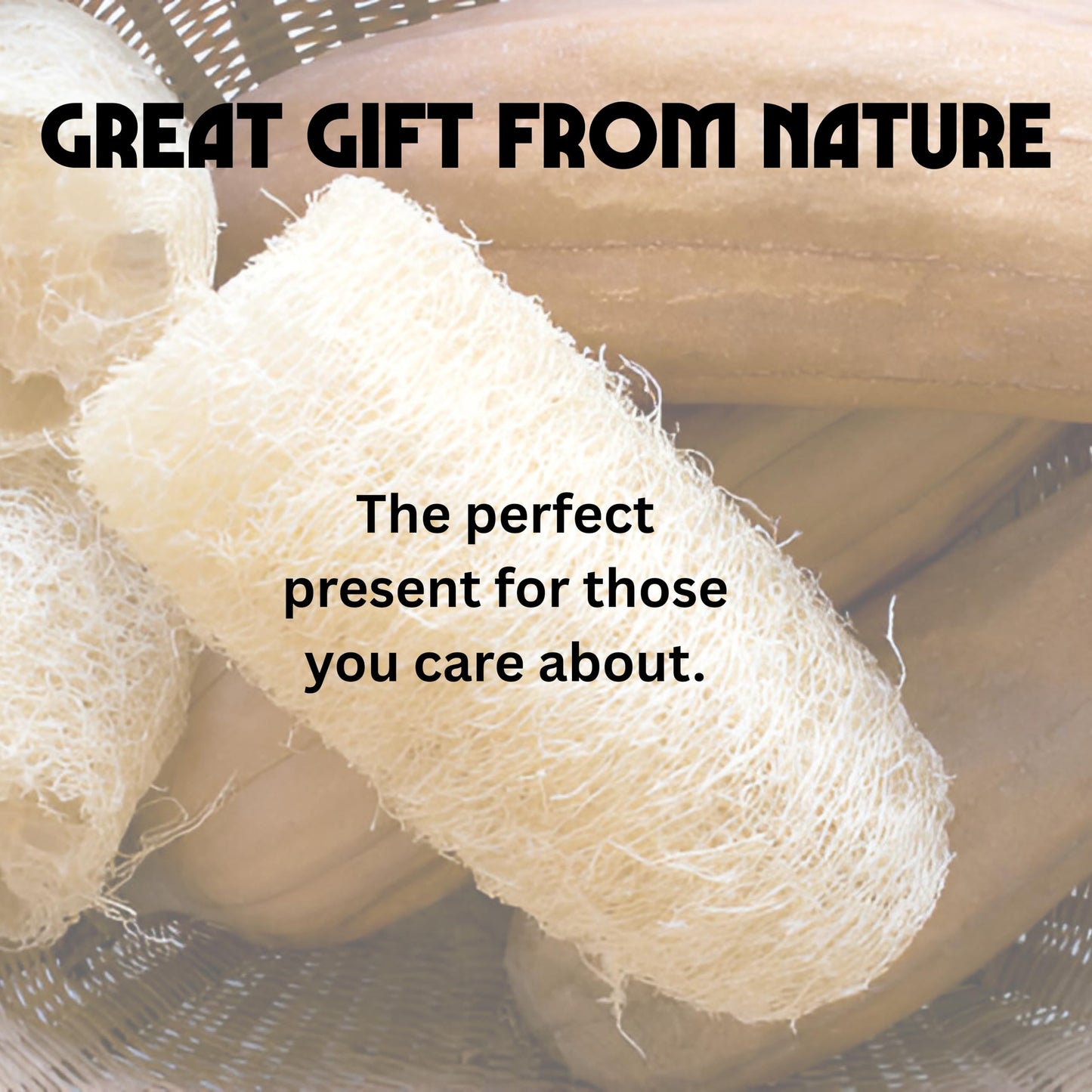 Birdee 100% Plant-Based Loofah Body Wash Sponge - Natural Luffa for Exfoliating and Radiant Skin, Hand-crafted in Vietnam, Pack of 4
