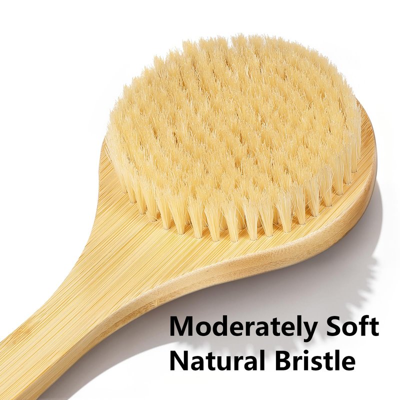 Back Scrubber Brush for Shower, 22" Curved Long Bamboo Handle Shower Brush, Antiskid Body Bath Brushes for Back Dry/Wet Brushing, Moderately Soft Natural Bristle Body Brush for Showering (Beige)