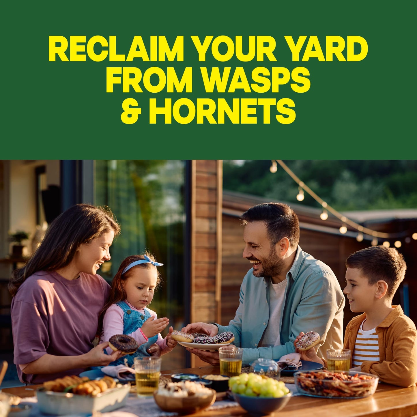 Raid Wasp & Hornet Killer Spray, Kills the Entire Nest, For Paper Wasps, Yellow Jackets, Mud Daubers and more, 14 oz (Pack of 2)