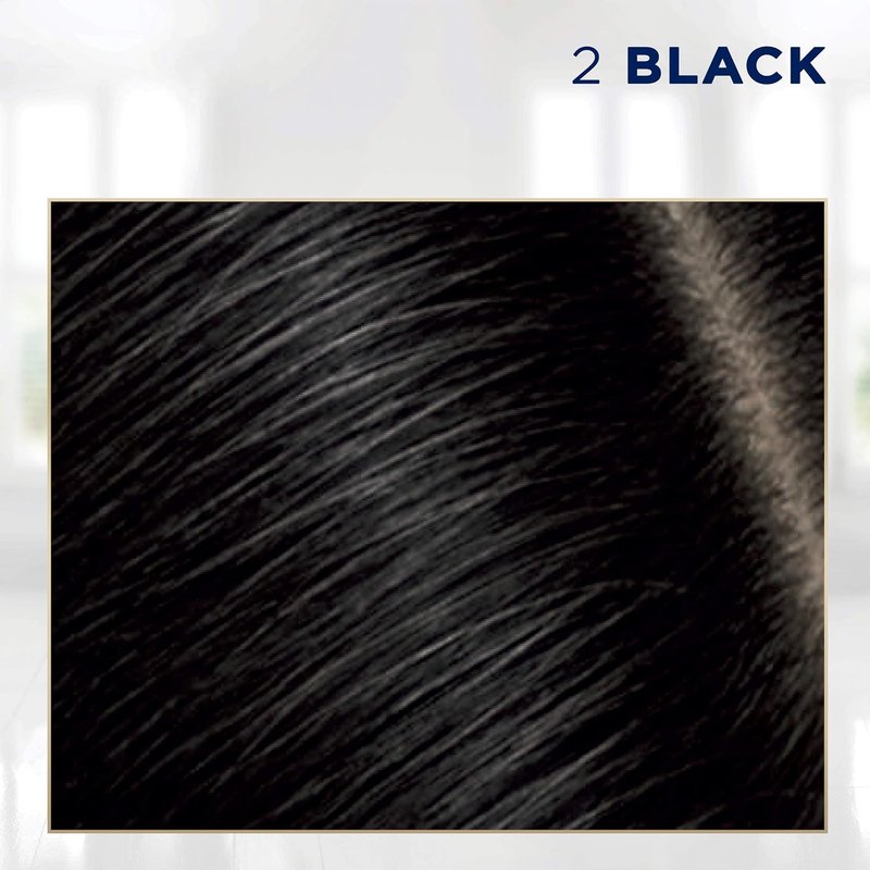 Clairol Root Touch-Up | Nice'n Easy Permanent Hair Dye - 2 Black Color, Pack of 4
