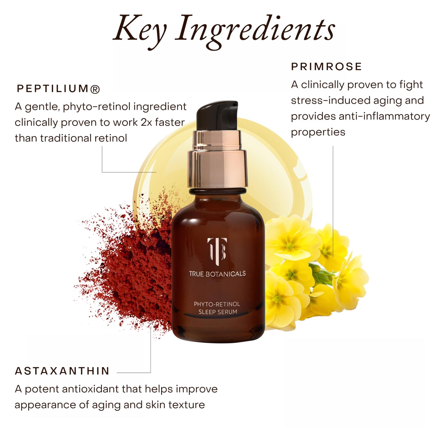 True Botanicals Phyto Retinol Sleep Serum | Nightly Anti-Aging Serum | Retinol Alternative | Targets & Reduces Fine Lines & Wrinkles | Dermatologist Tested, All Natural, Vegan | 1 fl oz | 30 ml