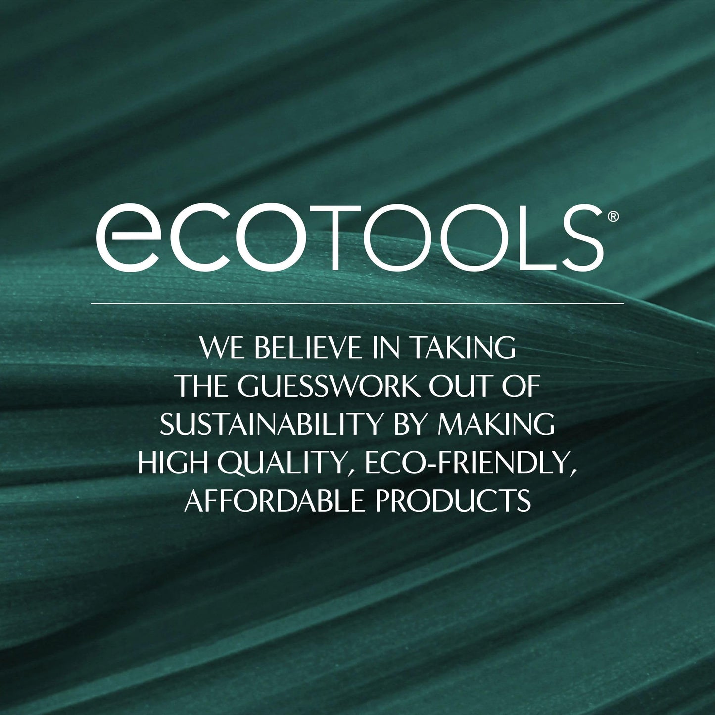 EcoTools 2-in-1 EcoPouf Bath Brush, Loofah Brush for Bath & Shower, with Long Handle & Recycled Netting for Cleansing & Exfoliating, Back Brush for Men & Women, Eco-Friendly & Cruelty-Free, 1 Count