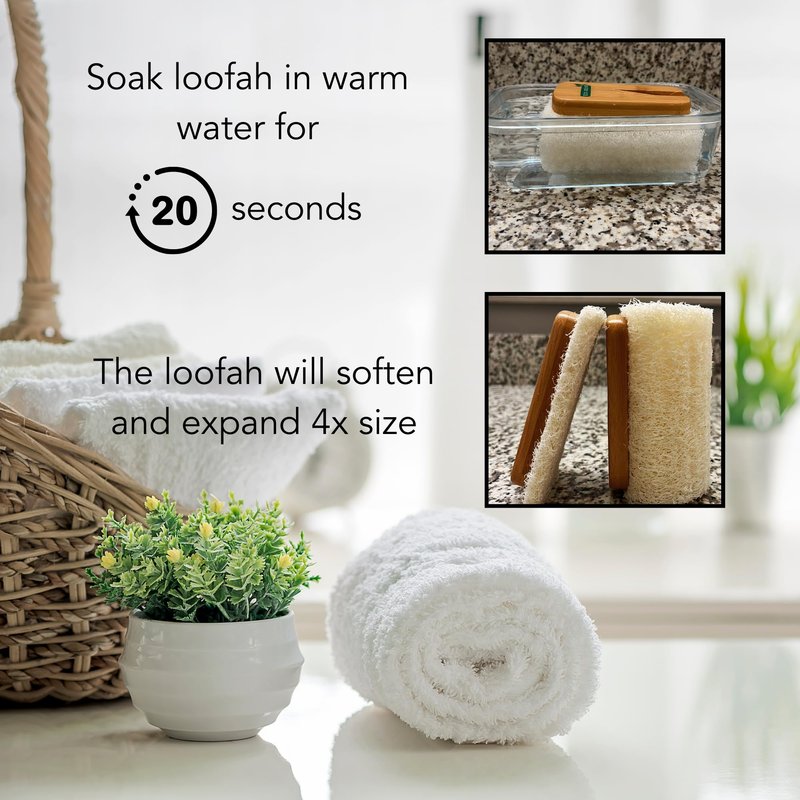 Eco Solve Natural Loofah Scrubber Head Refill (2 Pack), Bamboo Shower Loofah, Exfoliating Sponge