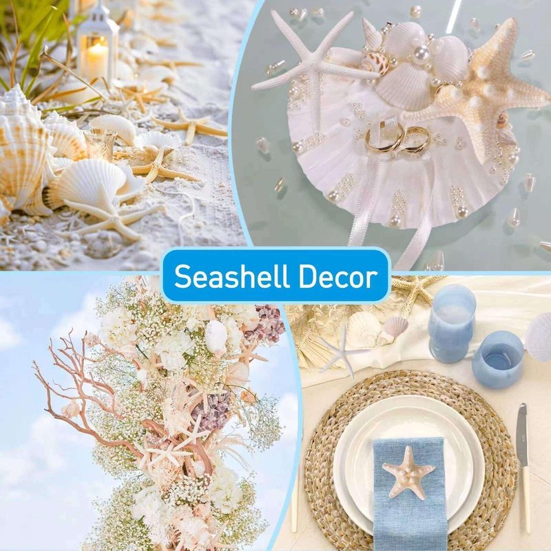 24PCS Sea Shells for Crafts Decoration - Real White Natural 2"-5" Scallop Shells and Starfish Coastal Christmas Craft Supplies, Beach Party, Painting, Easter DIY, Vase,Baking Shells, Birthday Gift