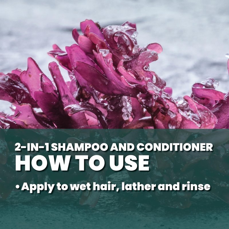 GREAT CLIPS LATITUDE 2-in-1 Shampoo + Conditioner | Daily Shampoo and Conditioner Set for Men | Promotes Full + Healthy Hair | 12oz | Packaging May Vary