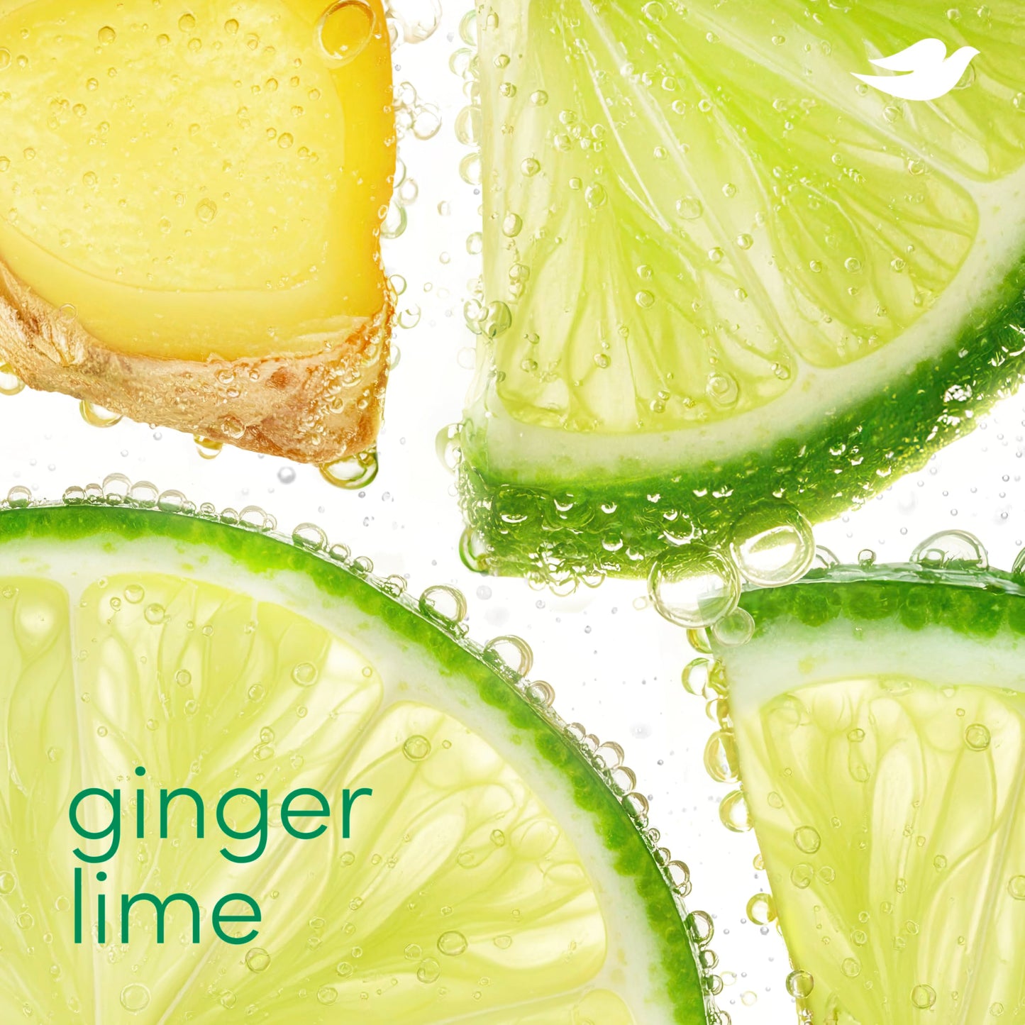 Dove Deodorant Stick Ginger Lime for 72 Hour Odor Protection Aluminum Free 2.4 oz