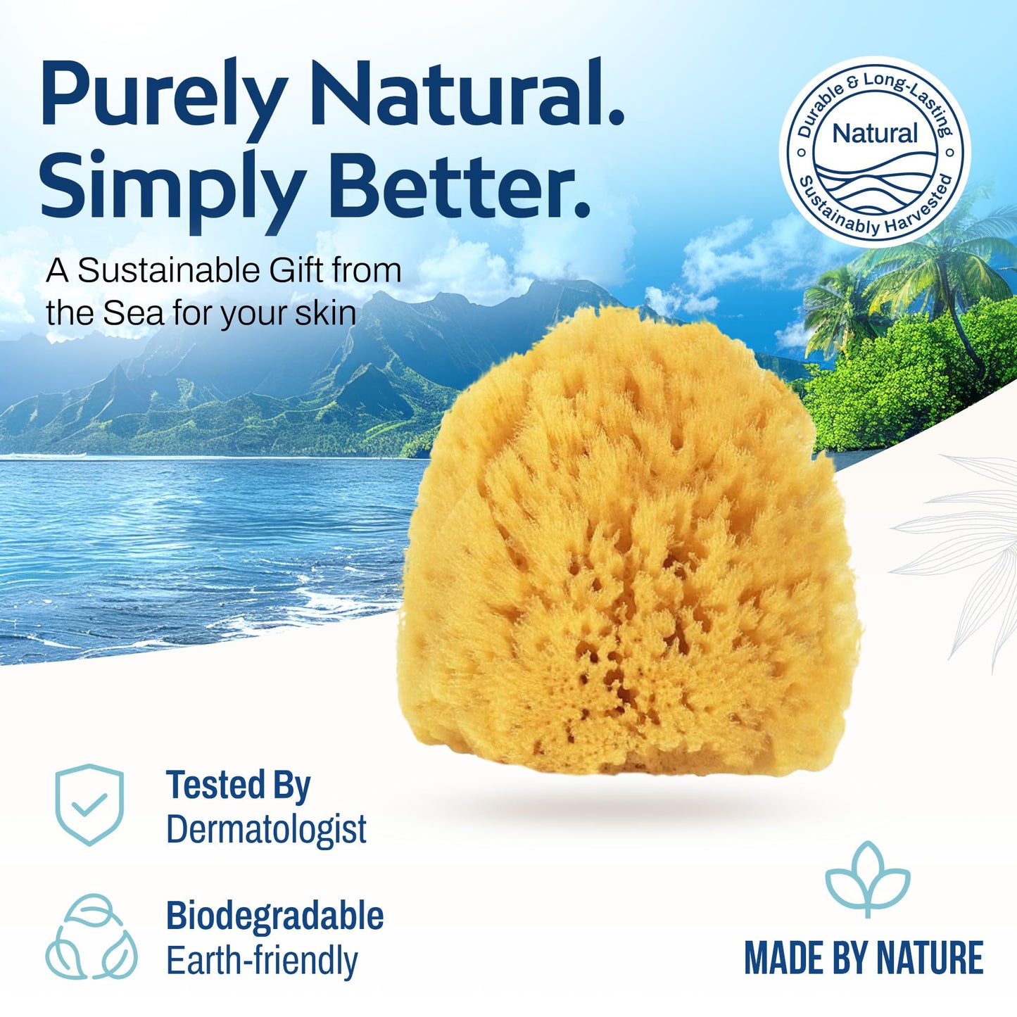 HartFelt Exfoliating Grass Sea Sponge Beauty Box | 2 Bath Sponges for Shower Women & Men 4in | Natural Sponge with Mesh Bag for Cleaning & Drying | Cleanses Skin from Dirt & Excess Oil - Gift Box