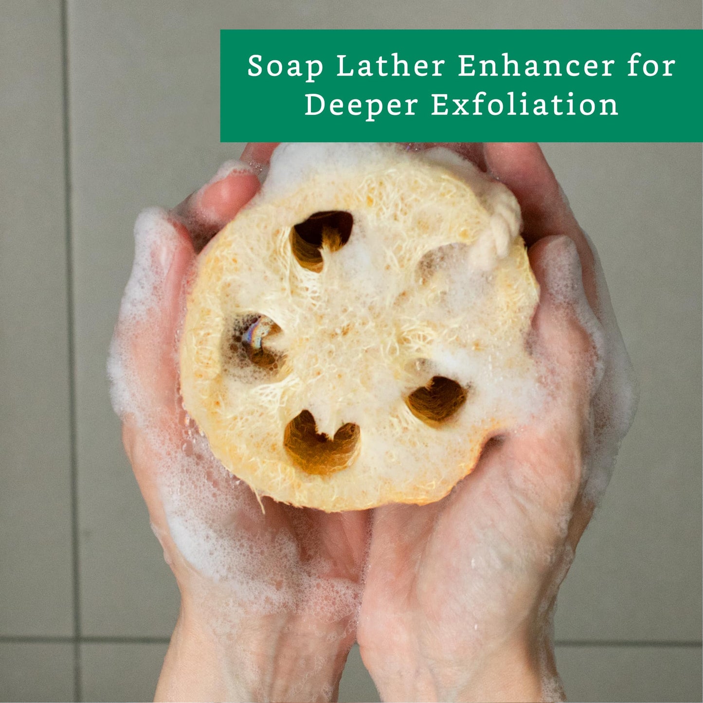 Natural Loofah Exfoliating Sponge (4 Pack) - Loofa Exfoliating Body Scrubber - Biodegradable Organic Loofah Sponge - Shower Luffa Sponges - Shower Lufa - Estropajos para el Cuerpo