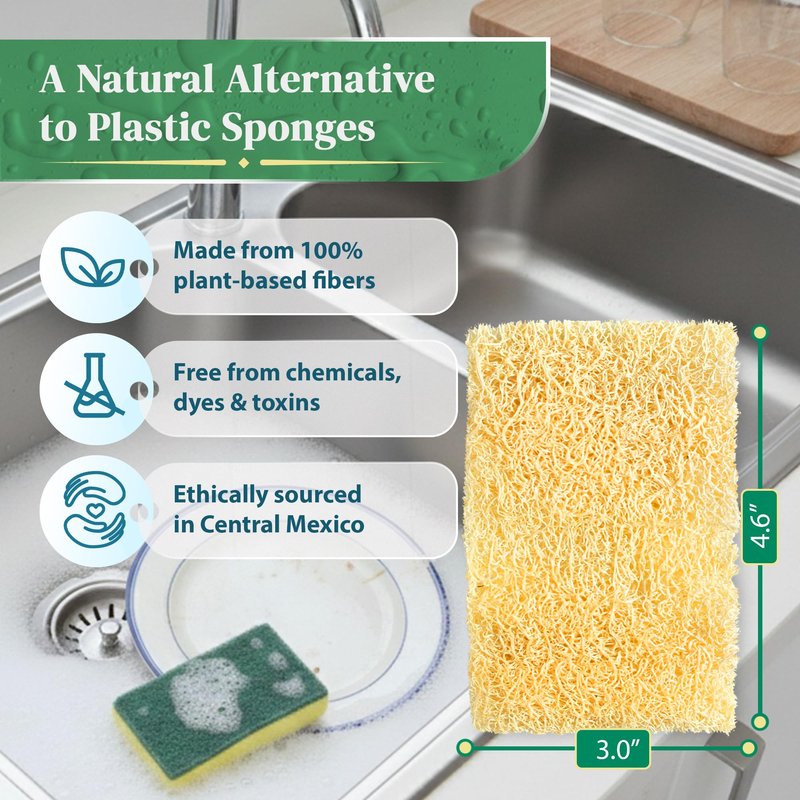 Natural Loofah Kitchen Sponge (XL - 10 Pack) - Natural Sponges for Dishes - Eco Friendly and Compostable Sponges - Biodegradable Plant Based Kitchen Dish Sponge - Plastic Free Dish Scrubber