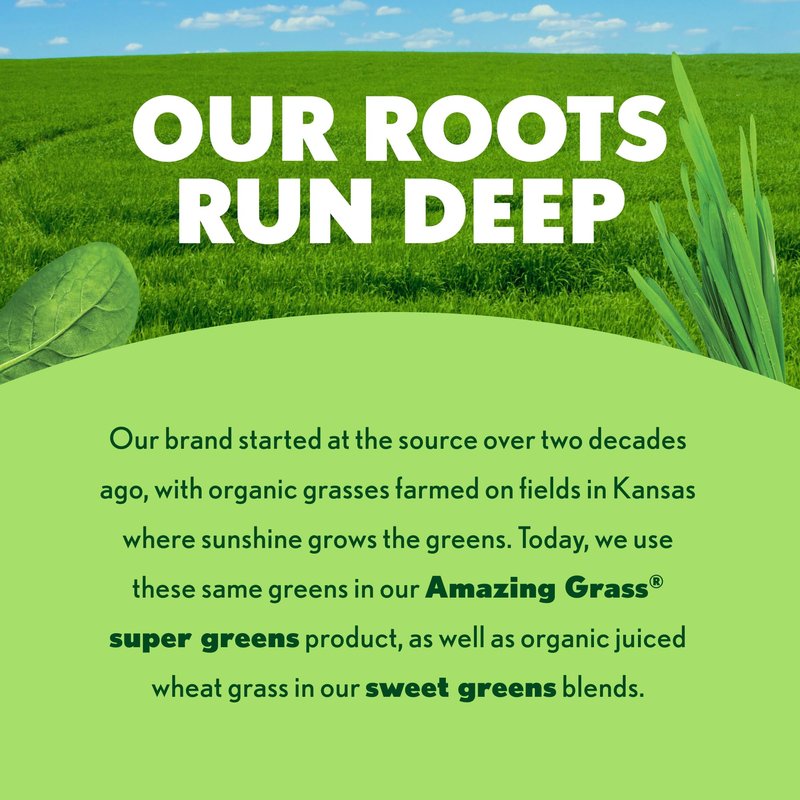 Amazing Grass Super Greens Powder, Organic, Greens Superfood Powder, Smoothie Supplements, Supports Digestion, Probiotics, Spirulina, Beet Root, Original, 100 Servings, 28.1 Ounce (Packaging May Vary)