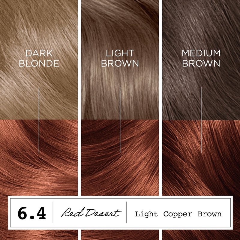 Clairol ColorStrong Permanent Hair Dye, Ammonia‑Free, PPD‑Free, 100% Gray Coverage with Bonding System, 6.4 Light Copper Brown - Red Desert Hair Color, Pack of 1