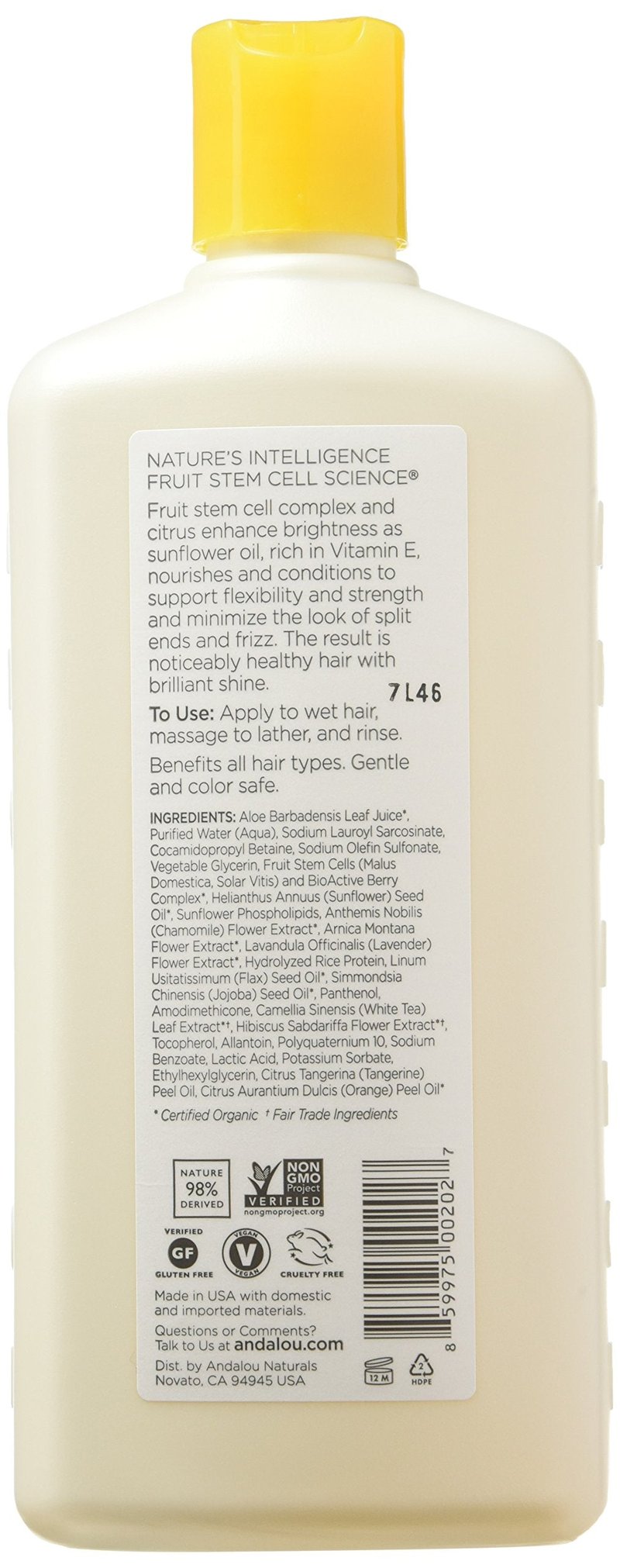 Andalou Naturals Sunflower and Citrus Brilliant Shine Shampoo, 11.5 Ounce