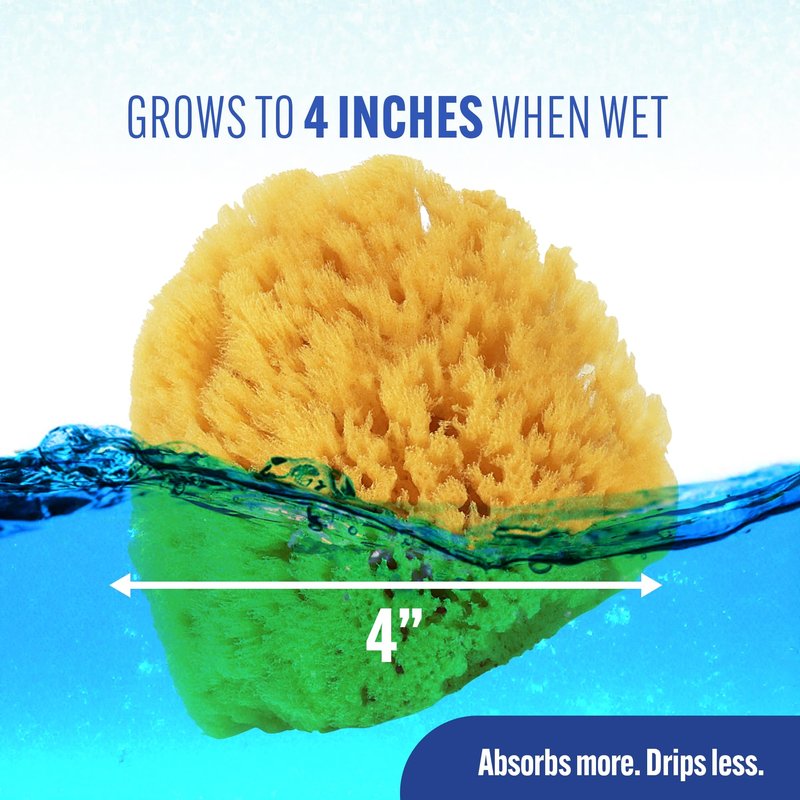 Baby Buddy Natural Baby Bath Sponge 4in Soft Grass Sea Sponge, Soft on Baby's Tender Skin, Biodegradable, Hypoallergenic, Absorbent Natural Sea Sponge, 2 Pack, Yellow
