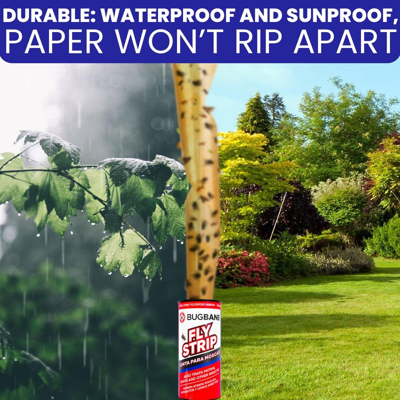 Fly Strips Indoor Sticky Hanging 10pk with Pins. Non Toxic Outdoor Fly Trap Indoor for Home. Flies Tape Paper Trap Ribbon Roll for House Gnat Fruit and Housefly. Bug Catchers for Inside Home Flypaper.