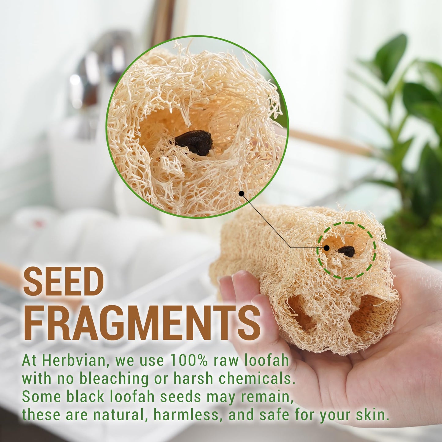 Natural Vietnamese Loofah Sponge, 100% Plant-Based Luffa Exfoliating Body Scrubber for Shower, Multi-Functional for Kitchen, Ideal for Men & Women, Spa & for Pet (6pcs/Pack)