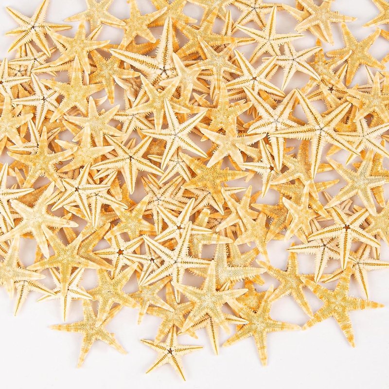 Natural Small Starfish for Crafts - 100 PCS Mini Starfish Decor | 0.4" to 1" for Beach Weddings & DIY Projects