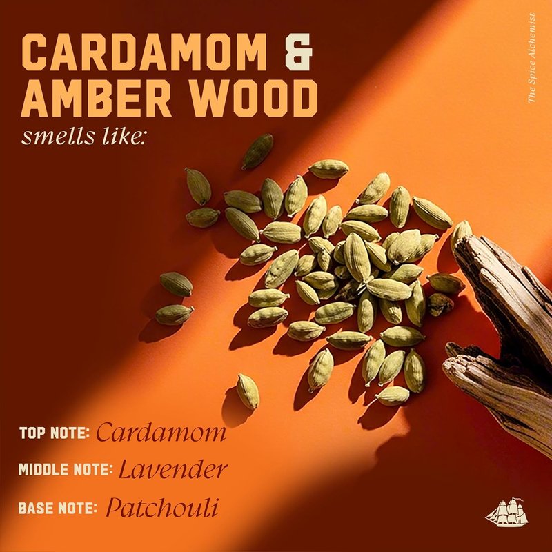 Old Spice Men's Shampoo - Cologne-Infused Cardamom & Amber Wood Scent | Paraben & Phthalate Free, 20 fl oz