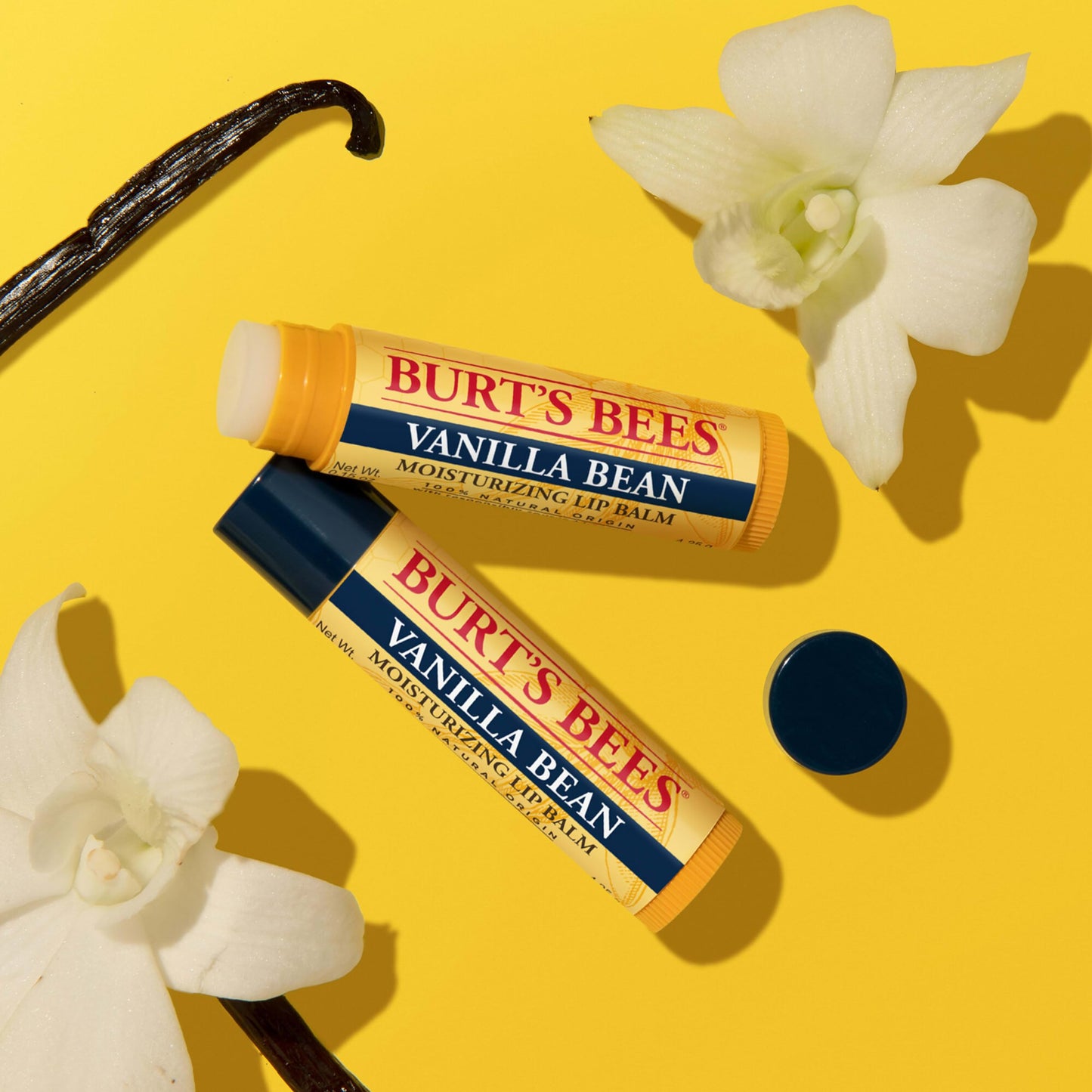 Burt's Bees Lip Balm, Vanilla Bean, Lip Moisturizer With Responsibly Sourced Beeswax, Tint-Free, Natural Conditioning Treatment, 1 Tube, 0.15 oz.