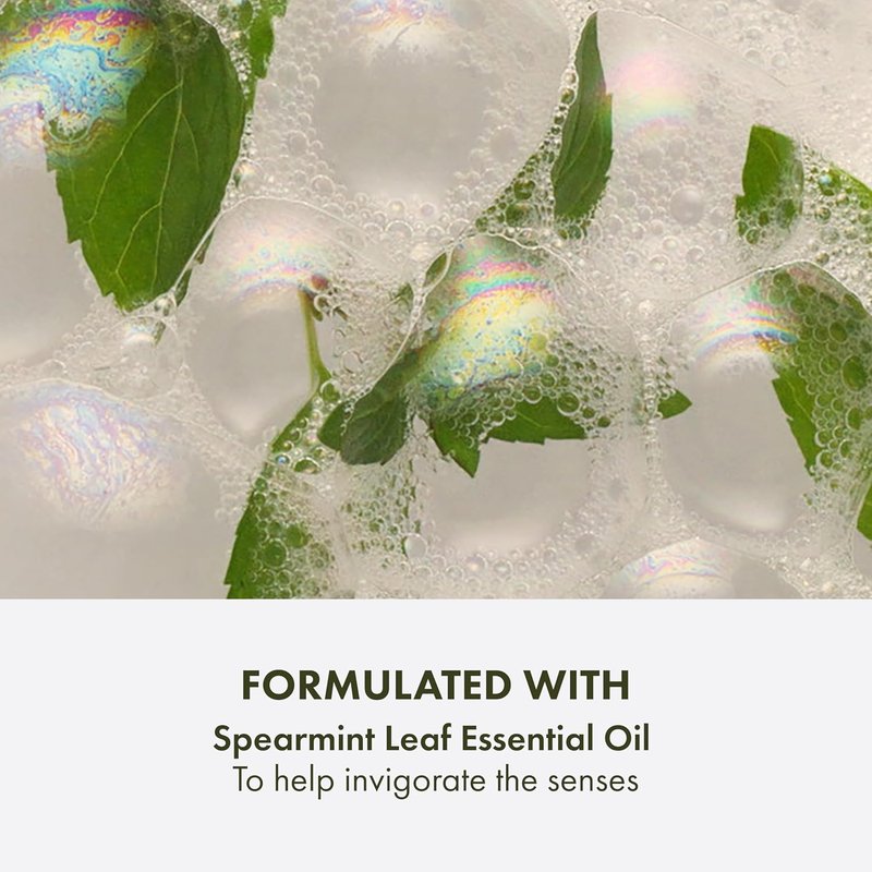 Foaming Facial Cleanser - Origins Checks and Balances Frothy Face Wash for All Skin Types | Gentle & Refreshing